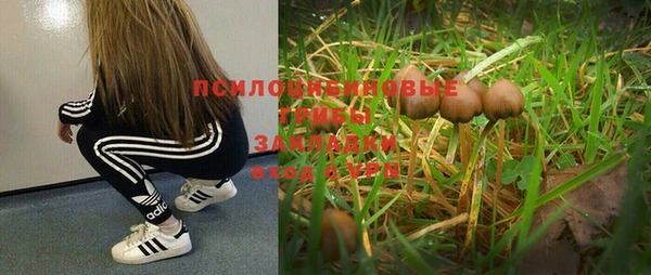 спайс Семикаракорск