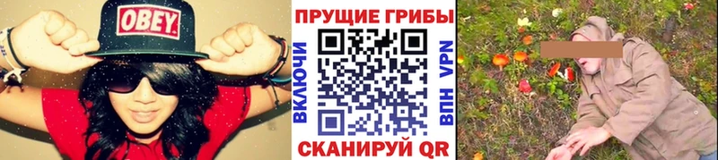 Псилоцибиновые грибы Cubensis  закладка  ОМГ ОМГ ссылки  Северодвинск 